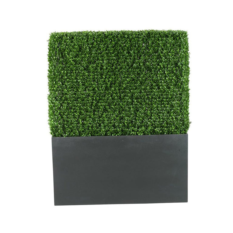 5′ Boxwood Hedge in Rectangle Planter – Pacific Patio Furniture