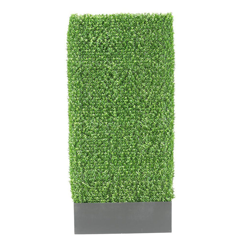 7′ Boxwood Hedge in Rectangle Planter